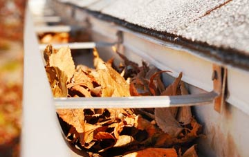 Tytherington gutter cleaning companies
